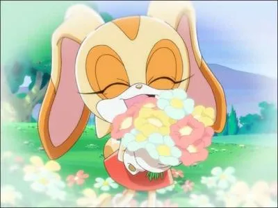 Qui Cream aime-t-elle ?