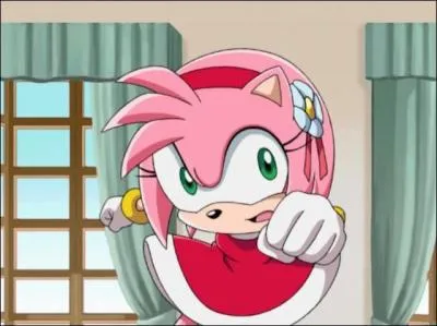 Juste en-dessous d'Amy, il y a quel personnage ?