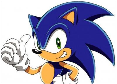 Sonic est de quelle catgorie ?