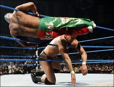Quel est le finisher de Rey Mysterio ?