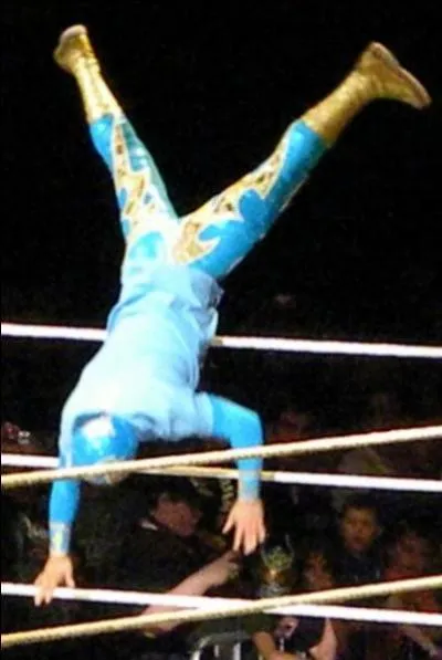 Quel est le finisher de Sin Cara ?