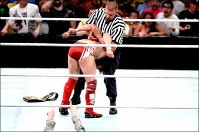 Quel est le finisher de Triple H ?