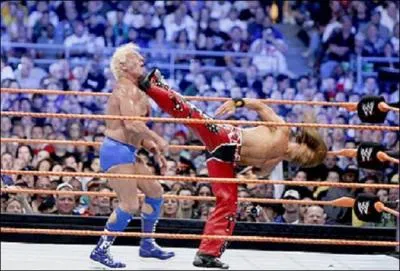 Quel est le finisher de Shawn Micheals ?