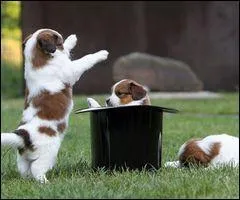 Abracadabra ! Comment prononcez-vous le mot  ferie  ?