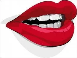 Comment appelle t-on le baiser pratiqu avec la langue ?