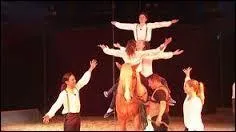 Enfin, quel tait leur dfi ?