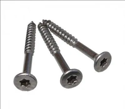 Le mot commence par : Ser ...