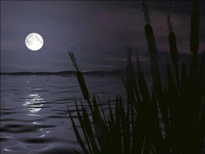 Comment s'appelle la femme qui prvient toujours Clo  chaque pleine lune ?