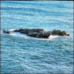 Quand elles sont en contact avec l'eau, en quoi se transforment-elles ?