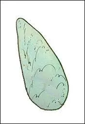  Ca y en a tre mieux, mais a y en pas encore assez. Toi y en  faire plus ?   (Caius Saugrenus)