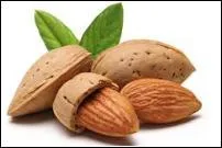 Ce fruit sert  faire d'excellents petits gteaux appels  financiers 