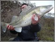 C'est un poisson d'eau douce.