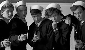 Qui a dans sur Kiss You des One Direction ?