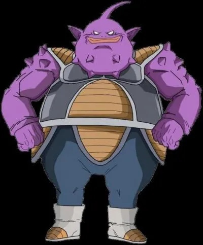 Sont-ce des soldats de Freezer ?