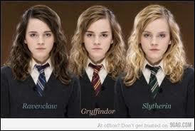 Quelle est la couleur des cheveux d'Hermione  Serpentard ?