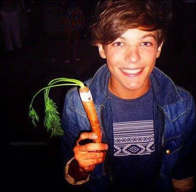 Dans la vido  Diaries 1  Louis dit qu'il aime des filles. Lesquelles ?