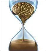  Une madeleine de Proust  dsigne...