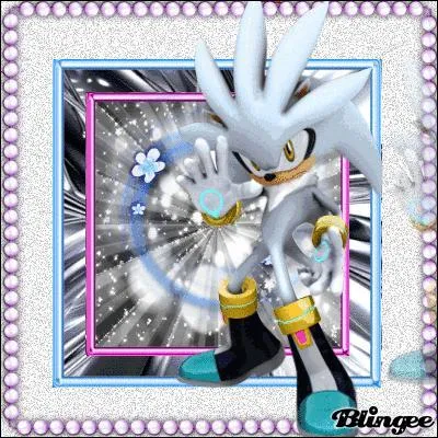 Quelle est la taille de Silver ?