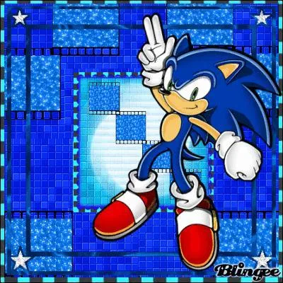 Quel est un des surnoms de Sonic ?