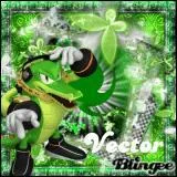 Quel est le poids de Vector ?