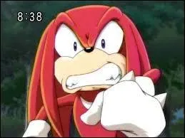 Quel est le surnom de Knuckles ?