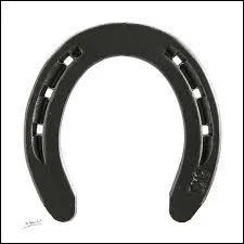 Le mot commence par : Par ...