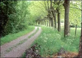 Le mot commence par : Par ...