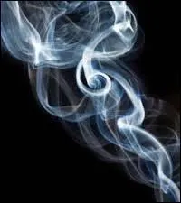 Le mot commence par : Par ...