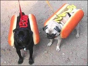 La ville de Morteau est surtout connue pour :