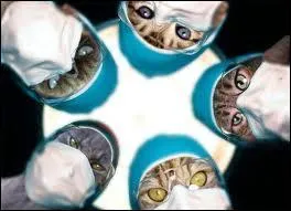 Ah oui, j'allais oublier ce clbre scientifique jurassien qui a tant apport  la science avec ses expriences sur la fermentation et la vaccination :