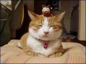 On peut tous rester zen, je le  croix  vraiment ! C'est un pape originaire du Doubs :