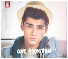 Qu'est-ce que Zayn aime  part le chant ?