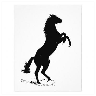 Comment se nomme le cheval du film L'talon noir, qui sauve le jeune Alec ?