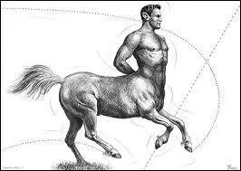 Comment nomme-t-on ces cratures qui ont un buste et une tte d'homme avec un corps et des jambes de cheval ?