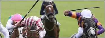 Ce cavalier tient-il correctement sa cravache ?