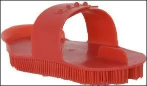 Comment se nomme cet objet qui sert au pansage ?