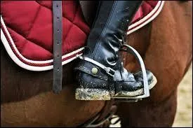 Quelle est la diffrence entre l'trier et l'trivire ?