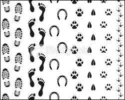 Combien existe-t-il d'allures principales chez le cheval ?