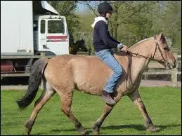 Quand on monte un cheval sans selle, on monte :