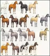 Combien existe-t-il de robes diffrentes ?