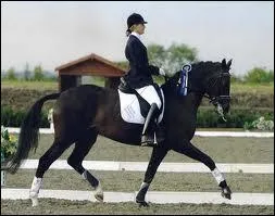 De quel ct doit-on monter sur un cheval ?