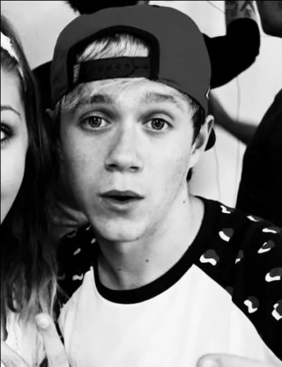 Quelle chanson Niall a-t-il compos ?