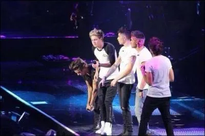 Combien Zayn a-t-il de surs ?