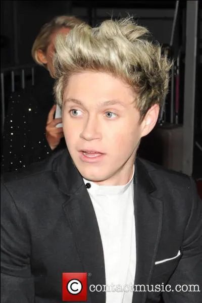 Lequel du groupe est trs protecteur envers Niall ?
