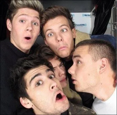 Lesquels du groupe se mettent ensemble pour faire de mauvaises blagues  Niall ?