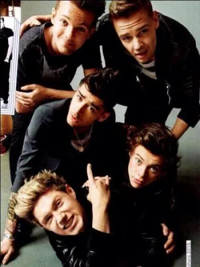 Lequel du groupe est le plus dormeur ?