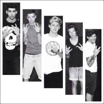 Lequel du groupe s'est rendu dans les coulisses au lieu de passer l'preuve de danse  X Factor, bien trop stress ?