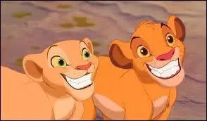 A quel dessin anim de Disney cette photo appartient-elle ?