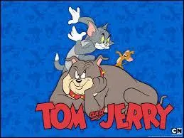 De quelle race est le chien Spike ennemi de Tom dans  Tom et Jerry  ?