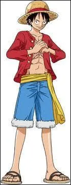 Quel ge a Luffy ?